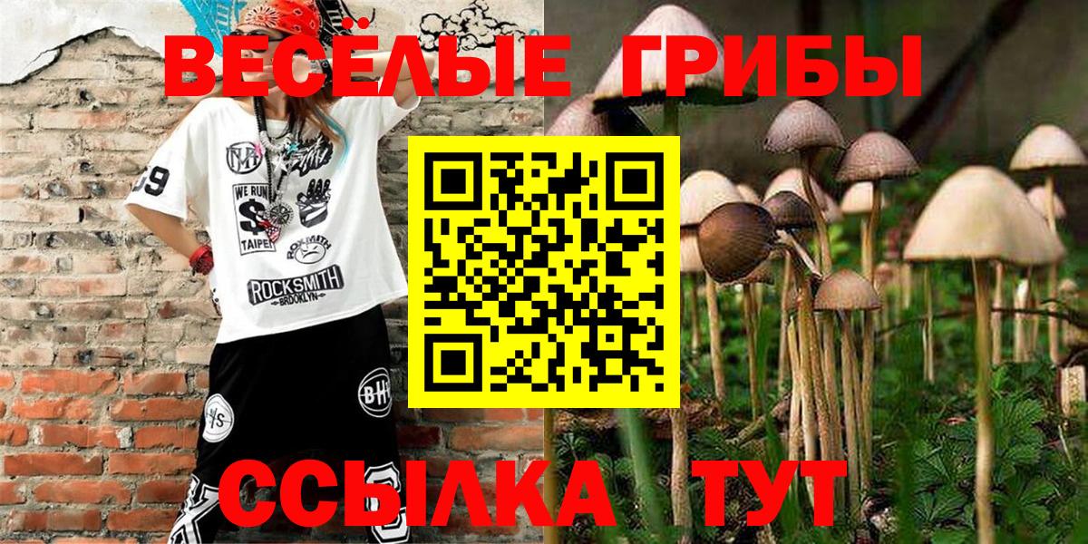 Галлюциногенные грибы Psilocybine cubensis  Вход с VPN  Новочебоксарск 