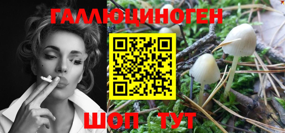 Галлюциногенные грибы Magic Shrooms Новочебоксарск